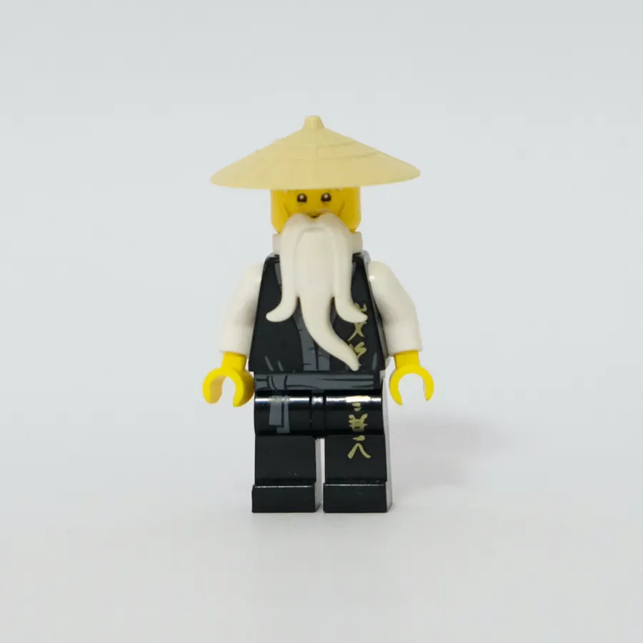 Sensei Wu (njo0026)