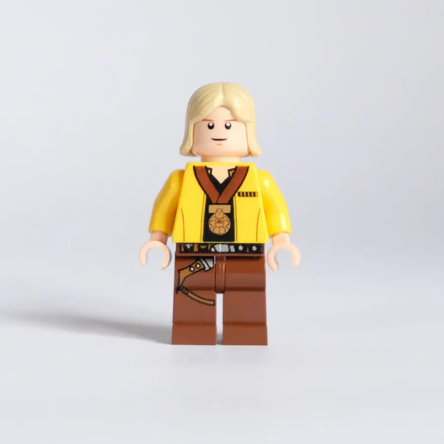 Luke Skywalker with Celebration Medal (sw0257a)