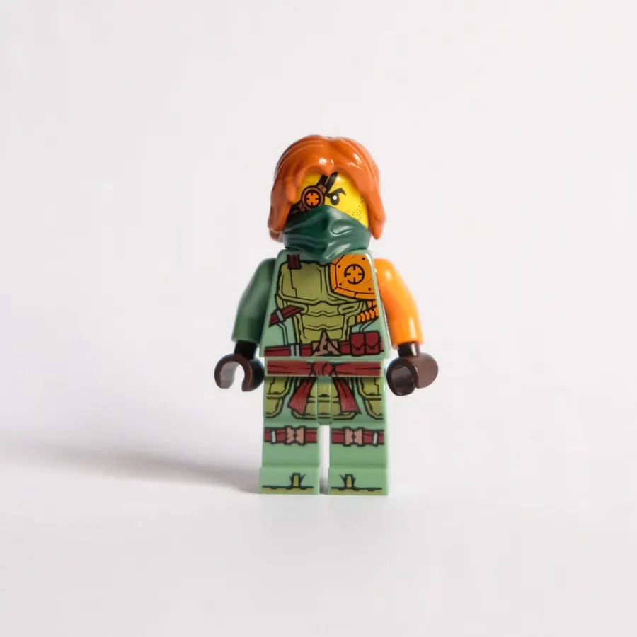 Ronin (njo0657)