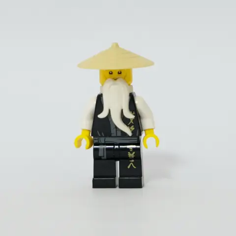 Sensei Wu (njo0026)